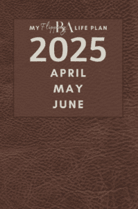 My Flipping BA Life Plan cover image: brown textured-leather pattern