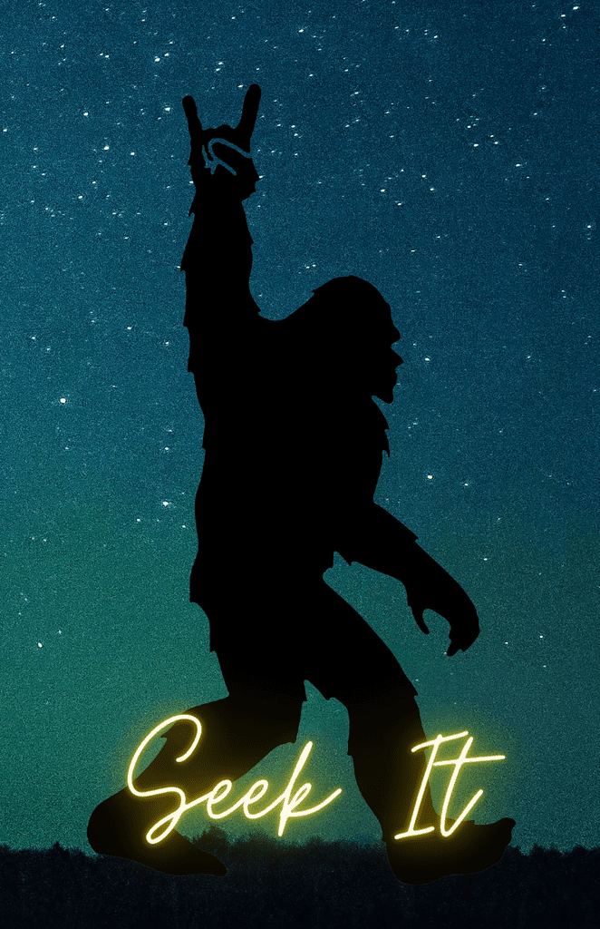 Book Cover: Seek It: Bigfoot Dot Grid Notebook Cover 3