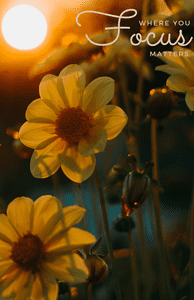 Book Cover: Where You Focus Matters: Botanical Dot Grid Notebook Cover 3