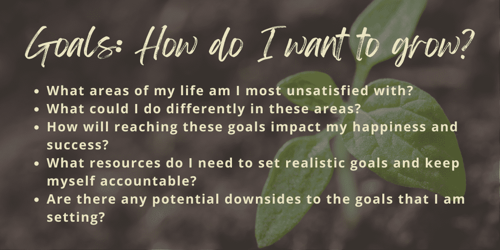 grow model questions goals