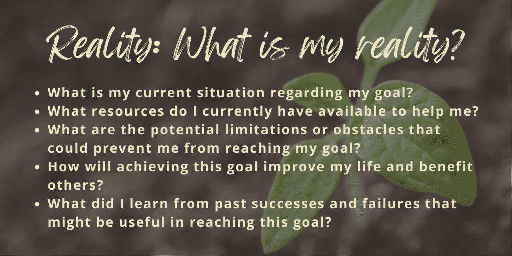 grow model questions reality