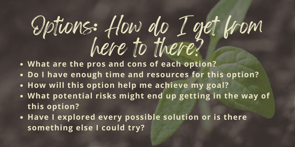 grow model questions options