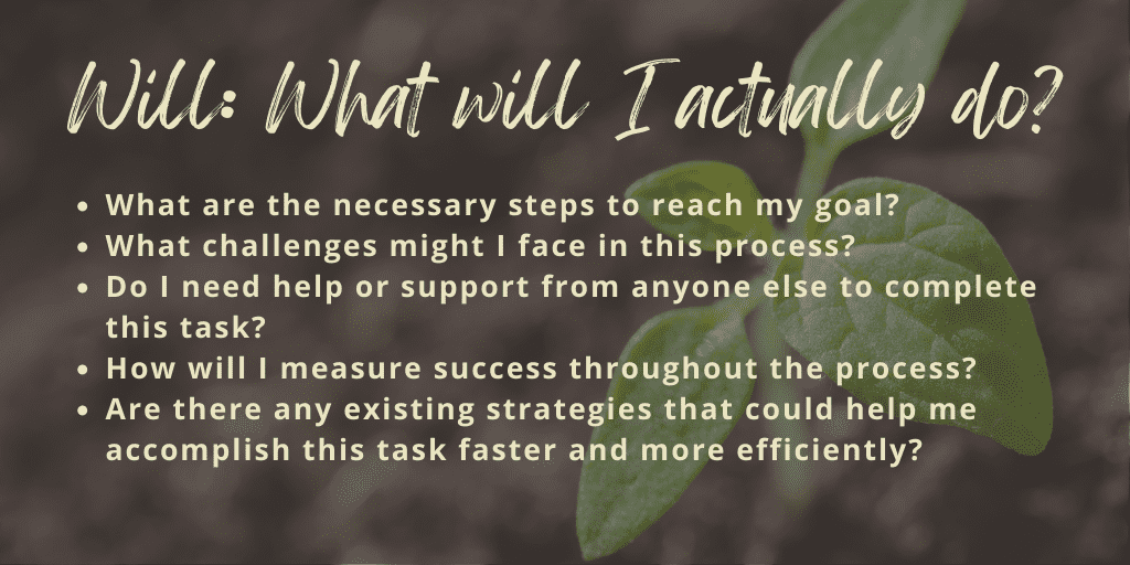 grow model questions will/way