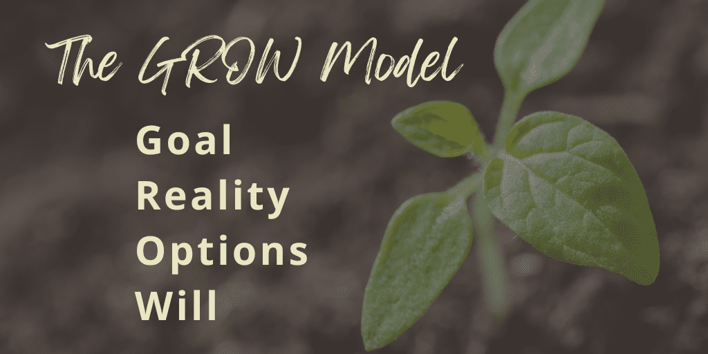 grow acronym goal reality options will